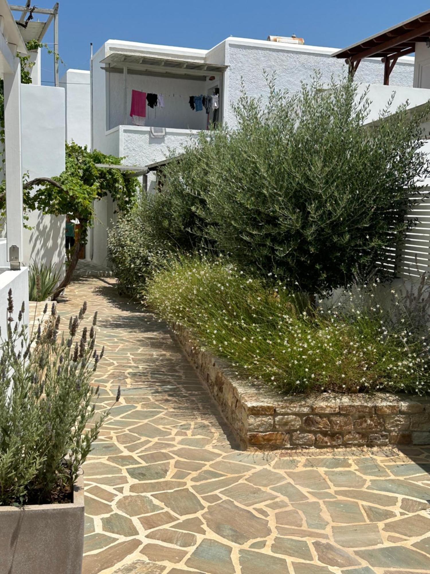 Levanda Guest Houses Andiparos Luaran gambar